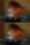 How to fuck in MD